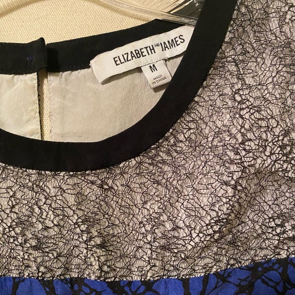 Elizabeth and James silk and lace crop top - Picture 6 of 8